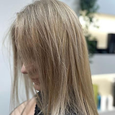 Kapper Haarlem knippen